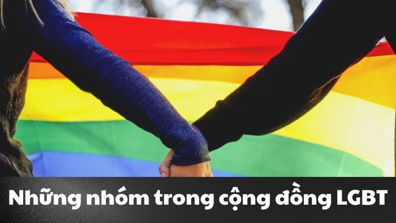 lgbtq+ là gì