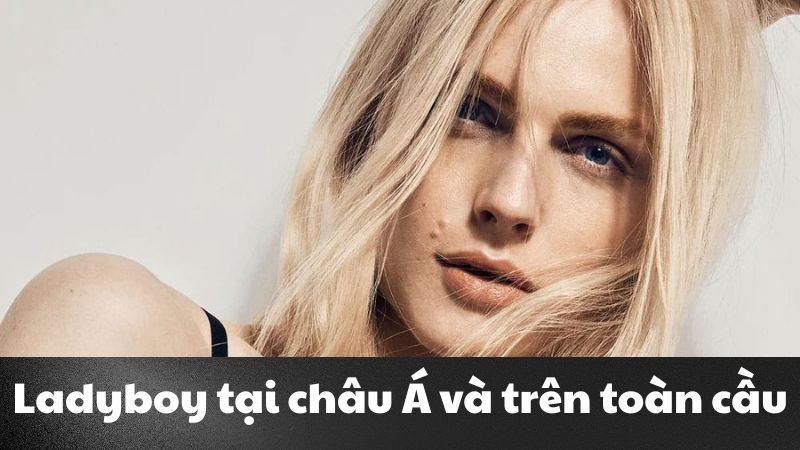 lady boy là gì 1