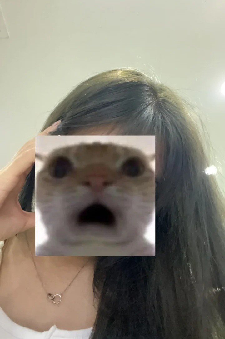 màu xanh rêu nhạt