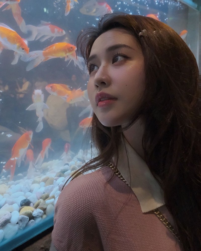 Diễn viên Quyên Qui