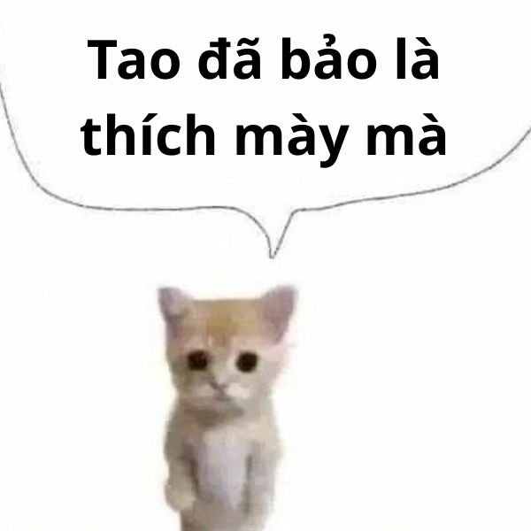 tao đã bảo thích mày troll