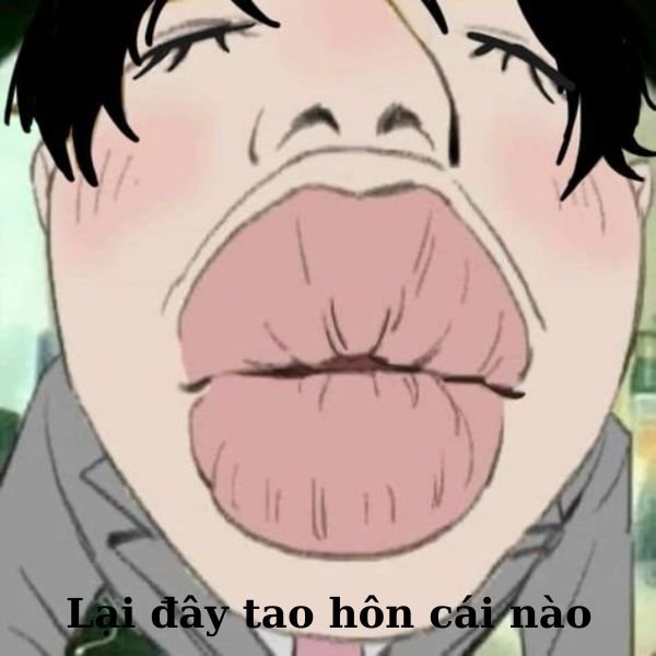 tao thích mày troll chu mỏ