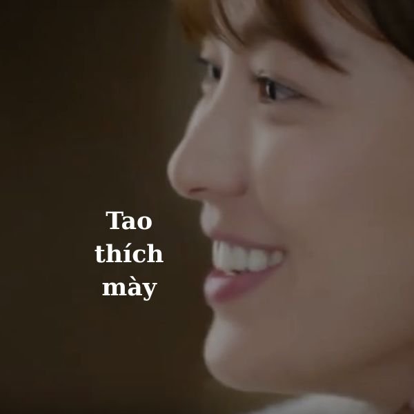 tao thích mày troll thật