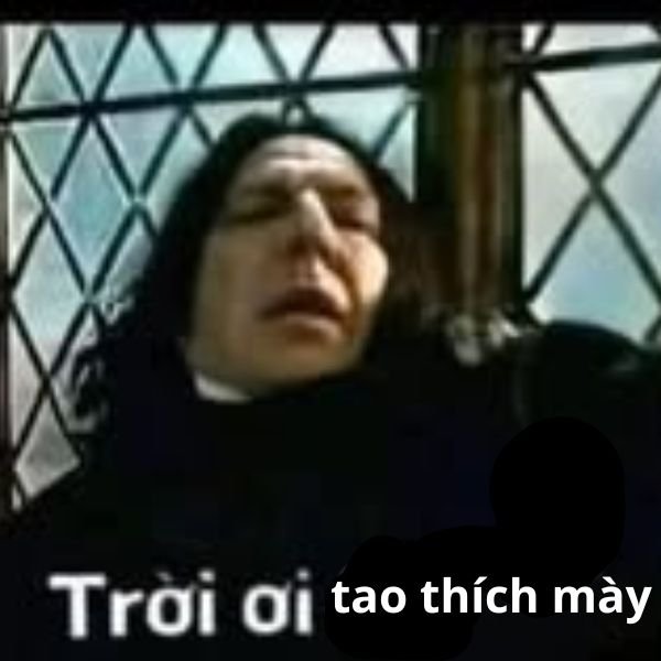tao thích mày troll trời ơi