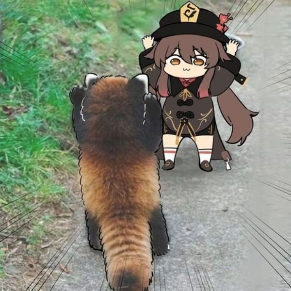 troll ảnh anime bựa 8k