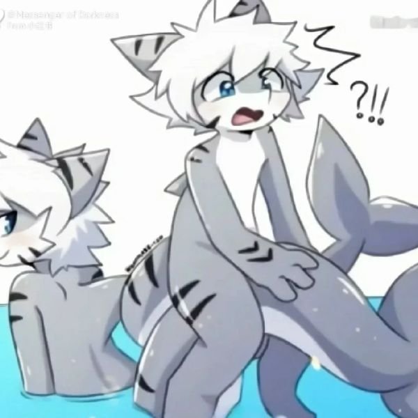 troll ảnh anime bựa hài