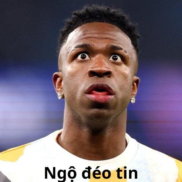 troll arsenal ngộ đéo tin