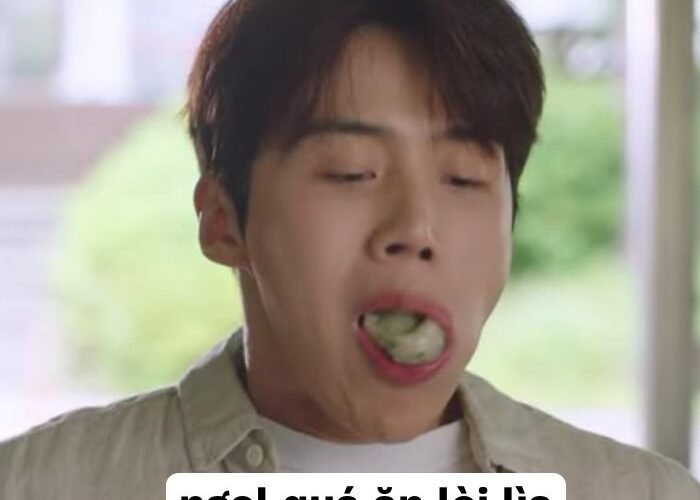 ảnh meme bất ngờ đẹp bựa