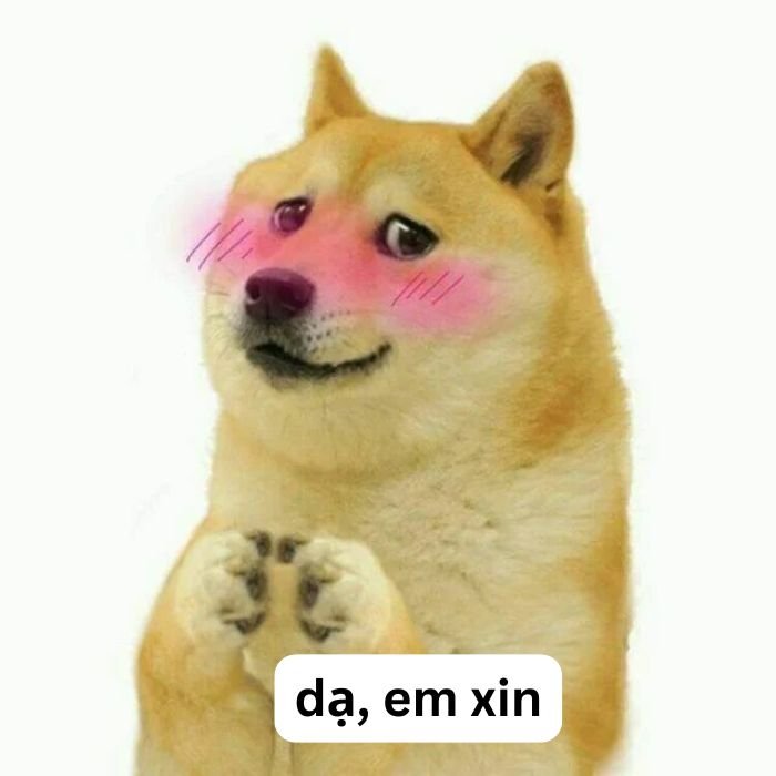 ảnh meme cảm ơn doge