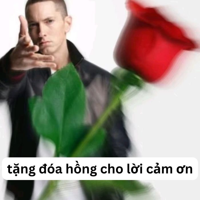ảnh meme cảm ơn eminem