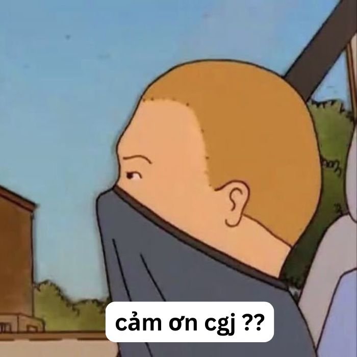 ảnh meme cảm ơn hài