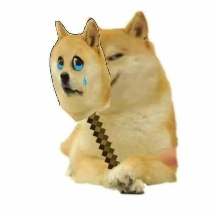 ảnh meme dog hài bựa
