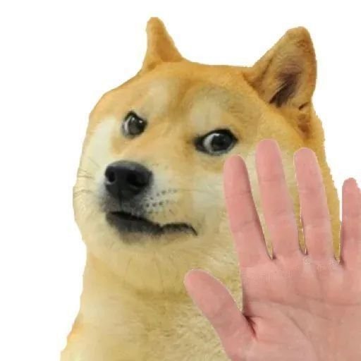 ảnh meme dog shiba