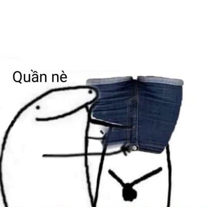 ảnh meme đội quần hài