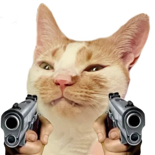 ảnh meme mèo cầm súng đang yêu
