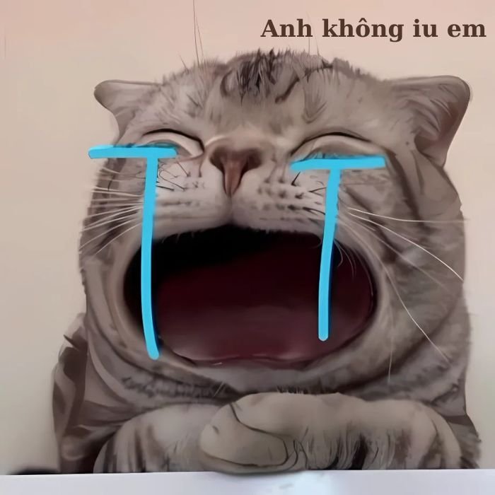 ảnh meme mèo khóc dễ thương