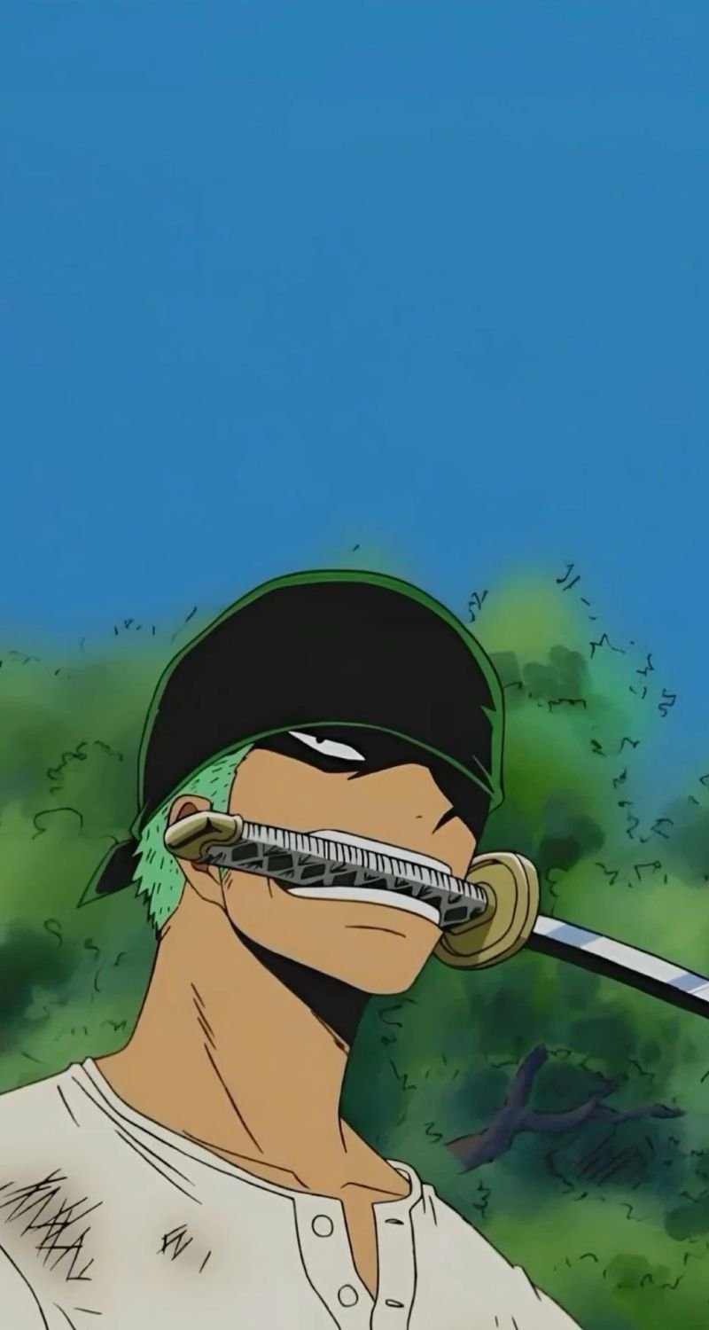 ảnh zoro cực đẹp
