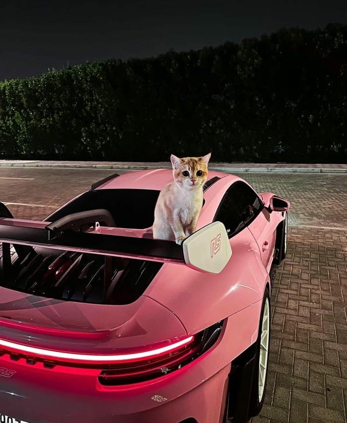 avatar siêu xe đáng yêu