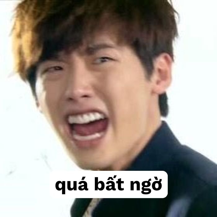 hình ảnh meme bất ngờ
