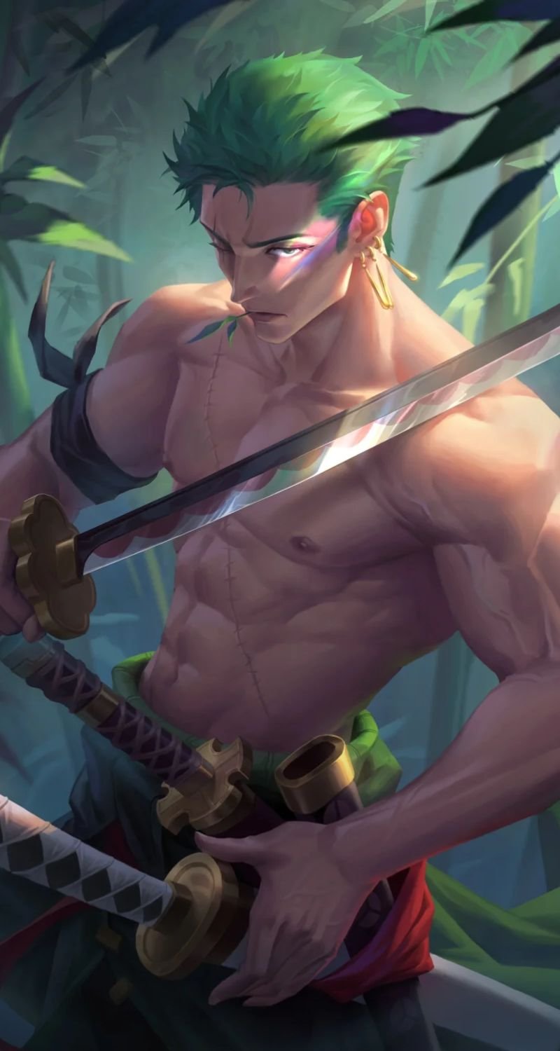 hình ảnh zoro