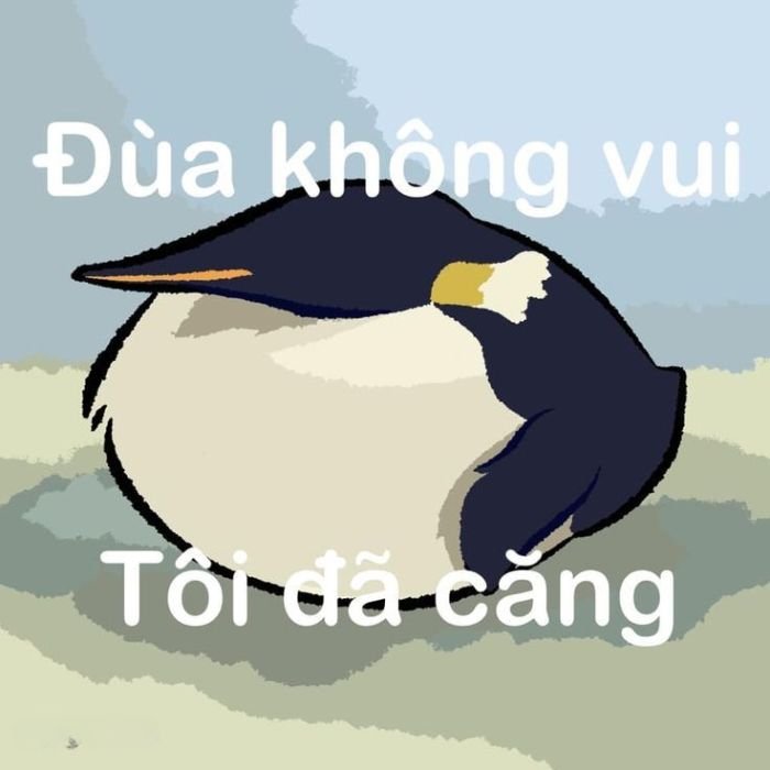 hình chim meme chê