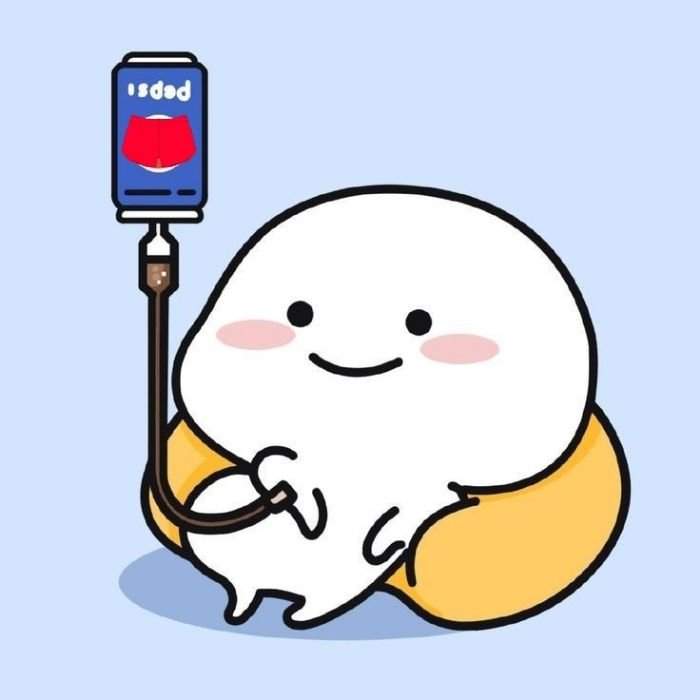 hình meme đội quần cuti