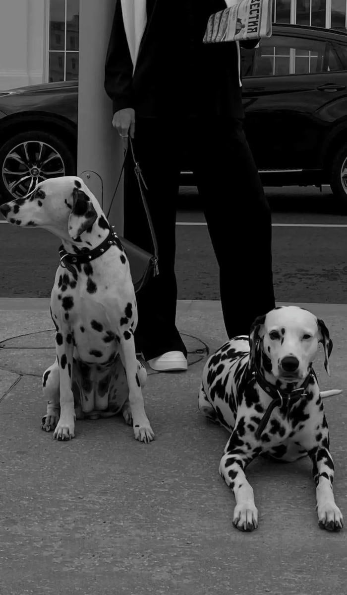 hình nền điện thoại ngầu lòi