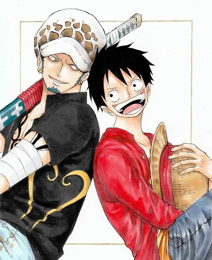 law và luffy