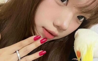 màu nâu hạt de sáng