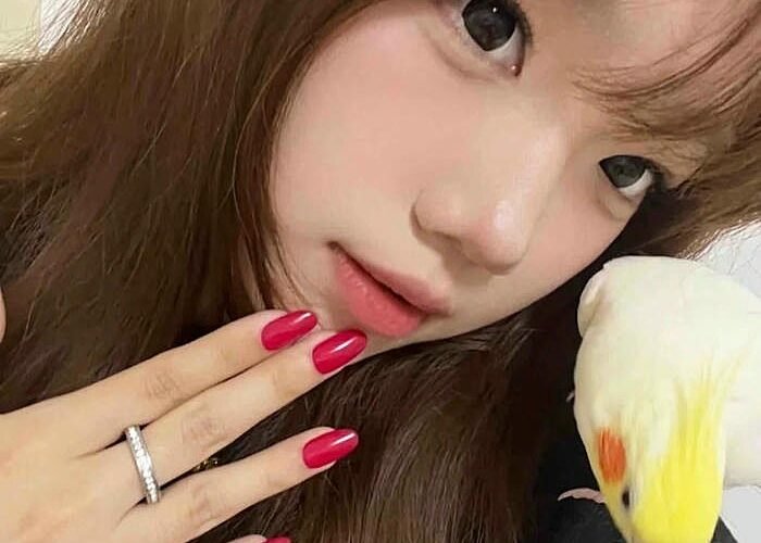 màu nâu hạt de sáng