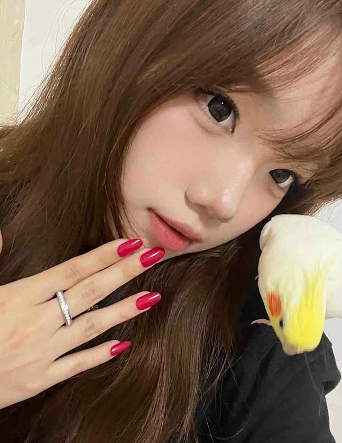 màu nâu hạt de sáng