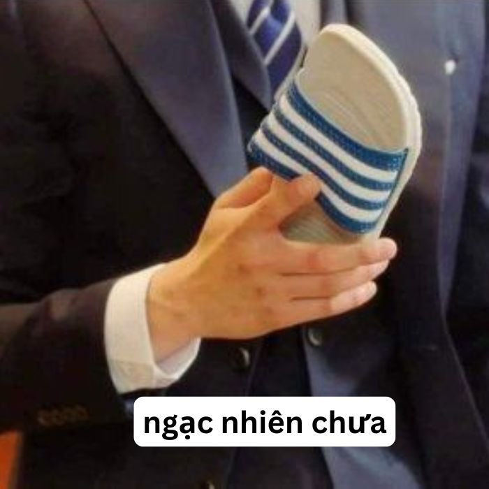 meme bất ngờ hài bựa