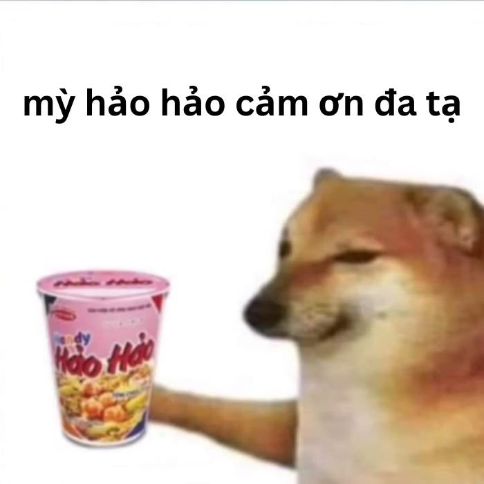 meme cảm ơn chó