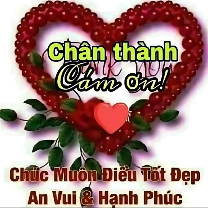 meme cảm ơn cổ
