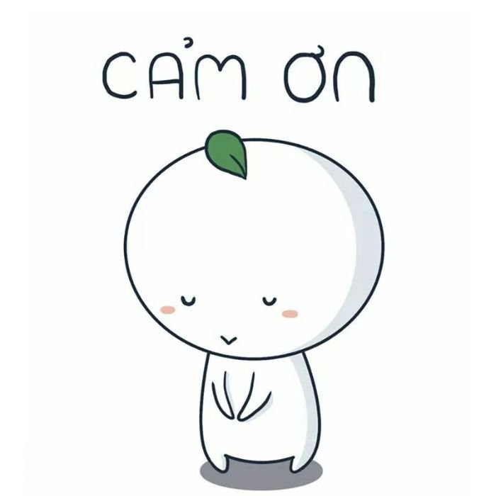 meme cảm ơn cute