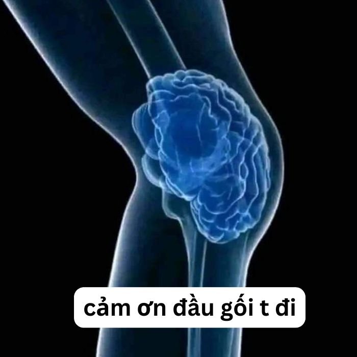 meme cảm ơn hài bựa