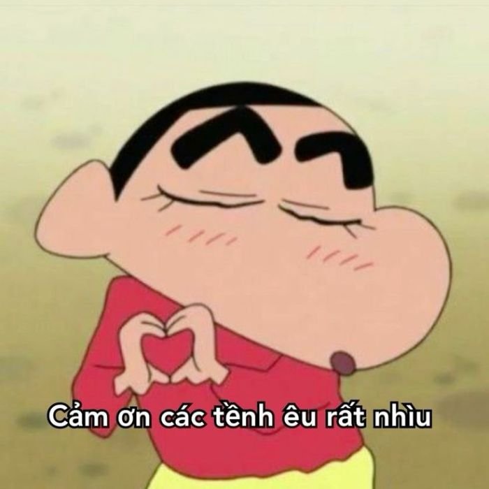 meme cảm ơn shin