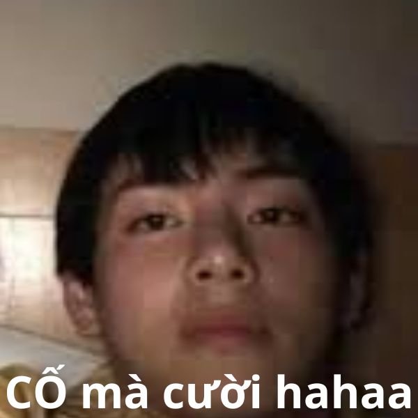 meme có gì đâu mà cười