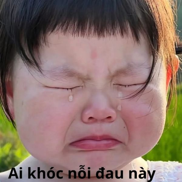 meme crying ai khóc nỗi đau này