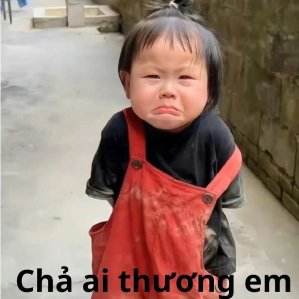 meme crying chả ai thương em