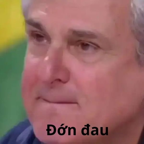 meme crying đau đớn