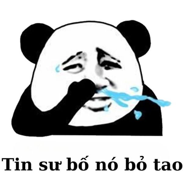 meme crying gấu khóc