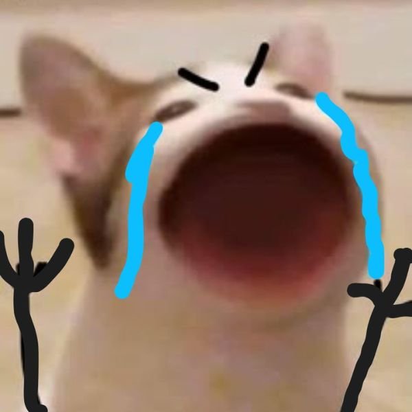 meme crying mèo ngoặc mồm