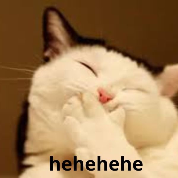 meme haha cười che mồm