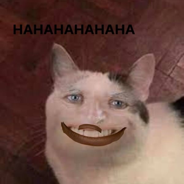 meme haha ngoặc mồm