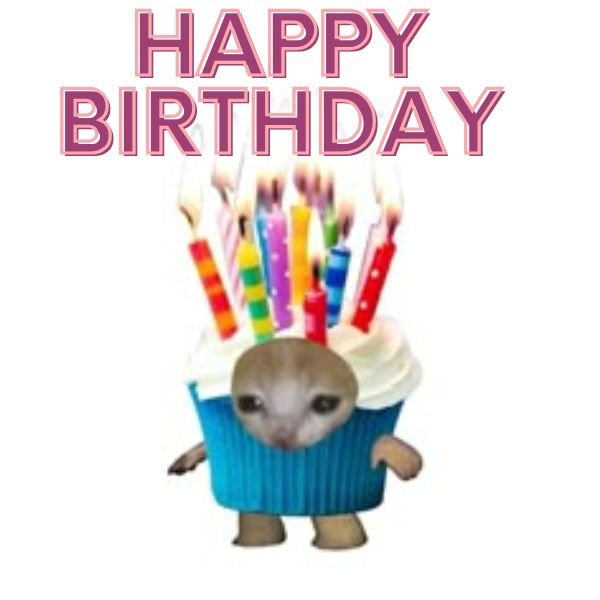 meme happy birthday chế