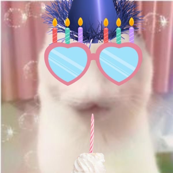 meme happy birthday cute nhất