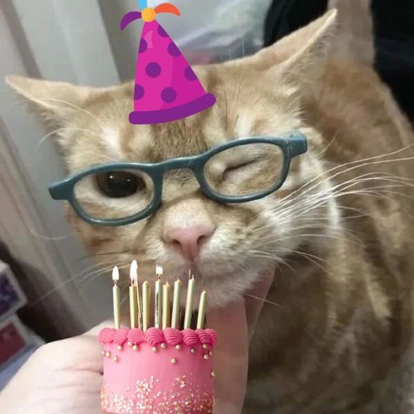 meme happy birthday – 4