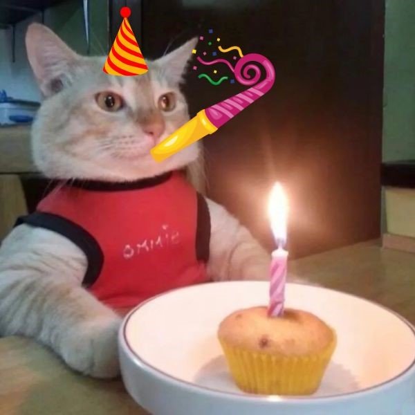 meme happy birthday – 2