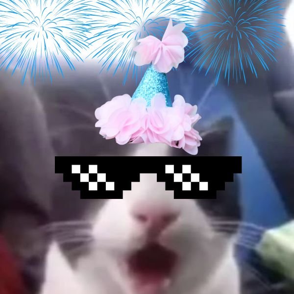 meme happy birthday đoe kính đen